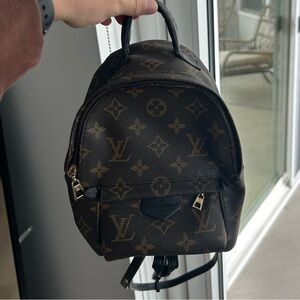 Luxurious Mini Louis Vuitton Palm Springs Backpack